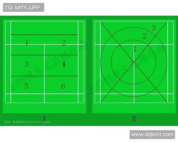 重庆羽毛球队整体压制战术解析与实战应用探讨